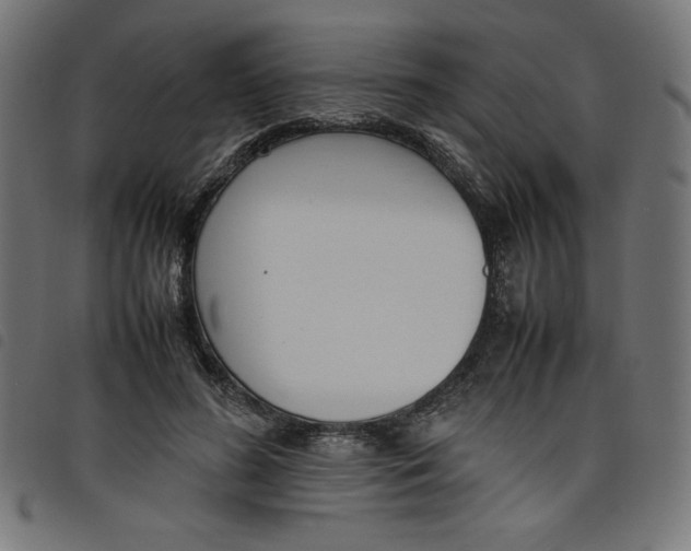 X0000098100596200804251406