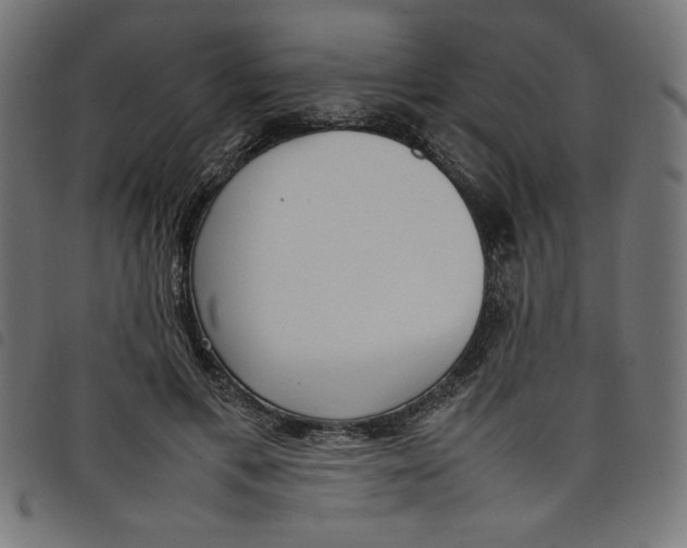 X0000098100597200804251406
