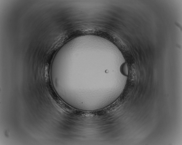 X0000098100598200804251406