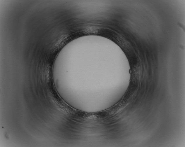 X0000098100600200804251406