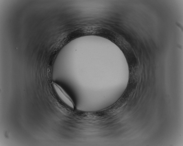 X0000098100601200804251406