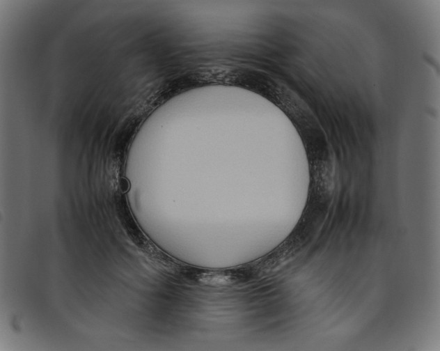 X0000098100602200804251406