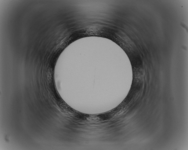 X0000098100603200804251406