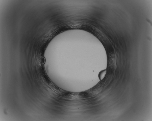 X0000098100604200804251406