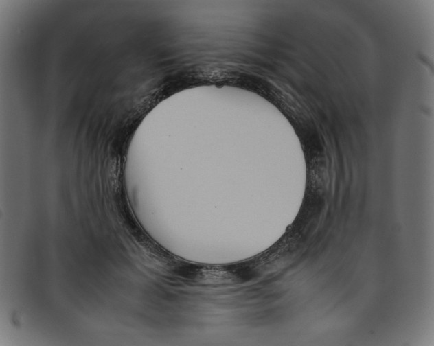 X0000098100605200804251406