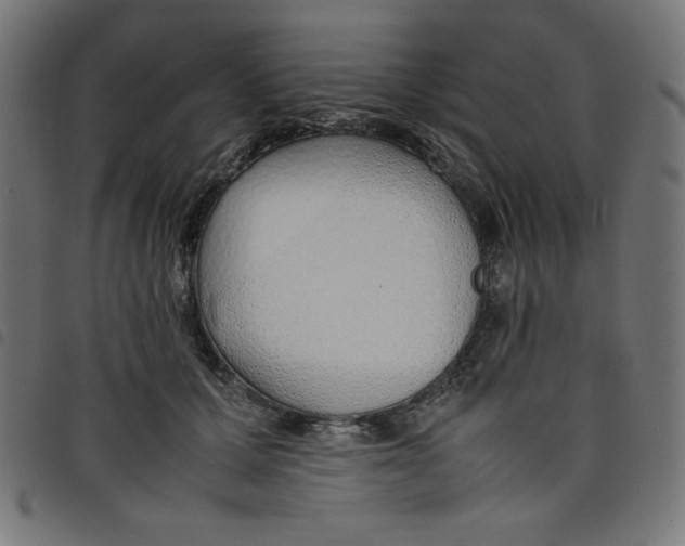 X0000098100607200804251406