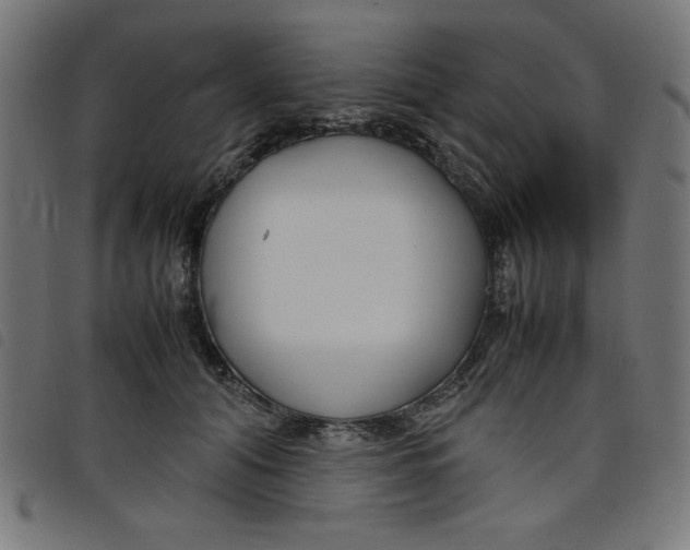 X0000098100608200804251406