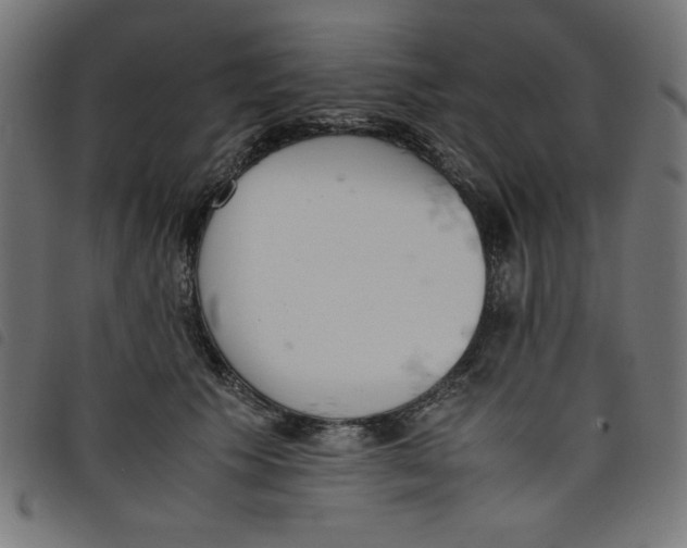 X0000098100609200804251406