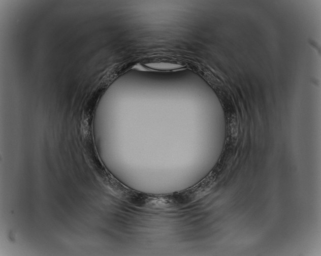 X0000098100611200804251406