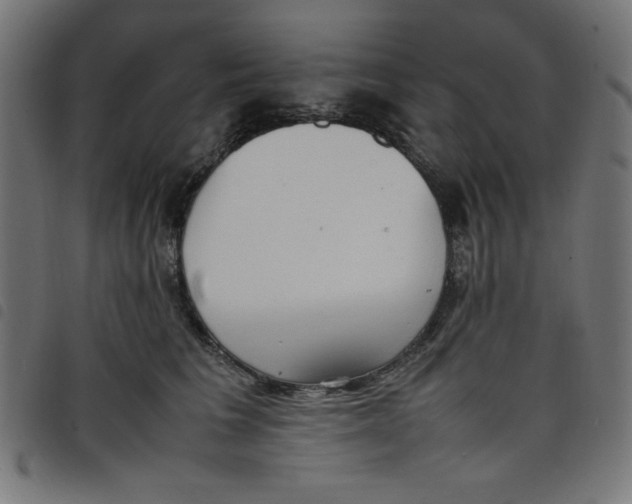 X0000098100613200804251406