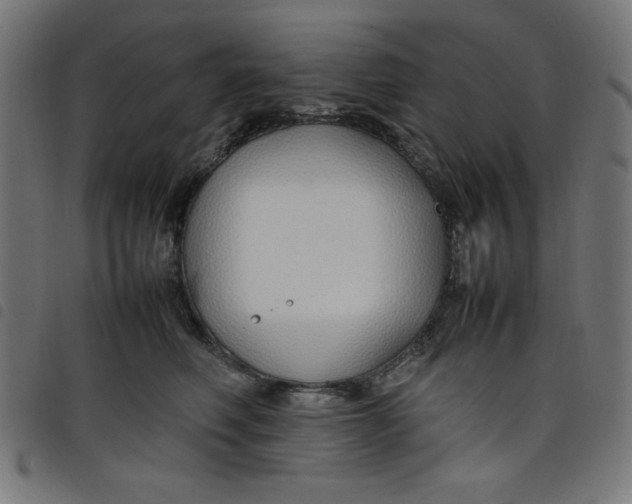 X0000098100614200804251406