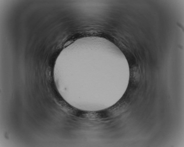 X0000098100615200804251406