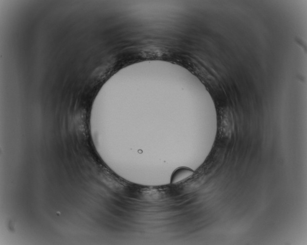 X0000098100616200804251406