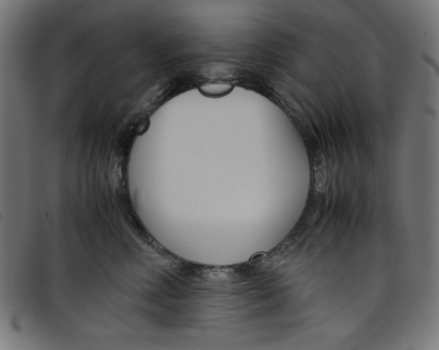 X0000098100618200804251406