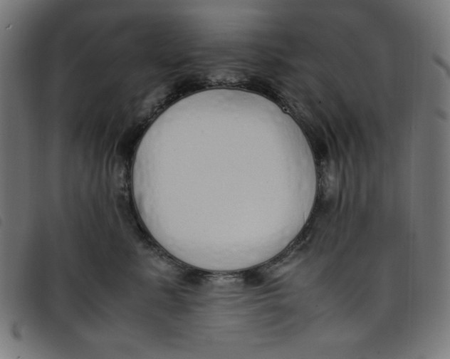 X0000098100619200804251406