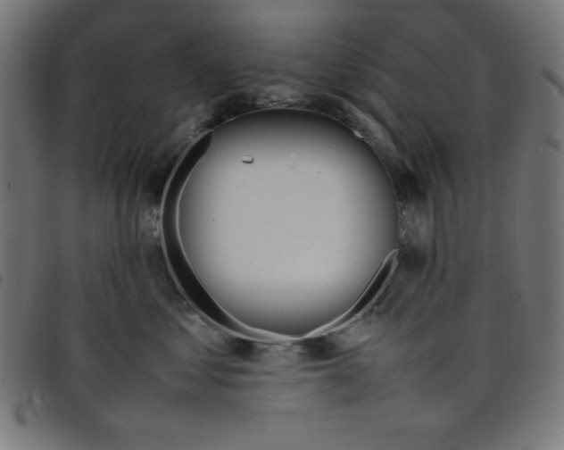 X0000098100621200804251406