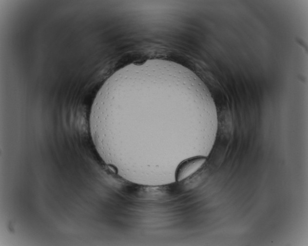 X0000098100622200804251406
