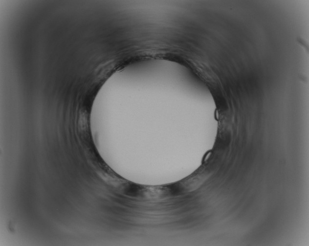 X0000098100623200804251406
