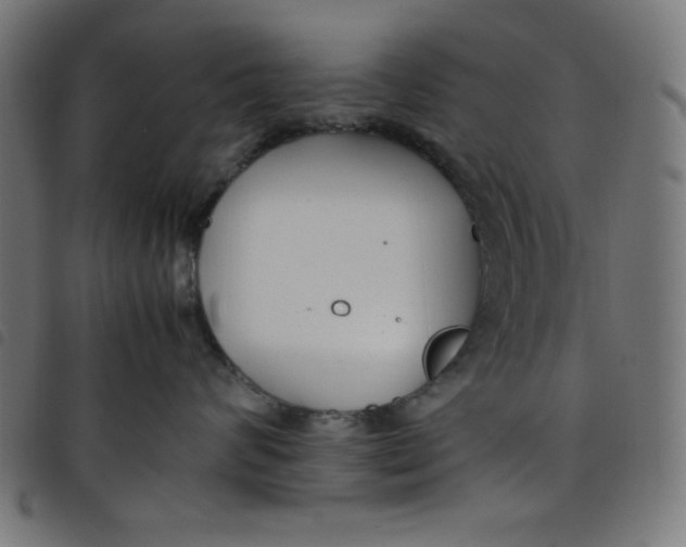 X0000098100624200804251406