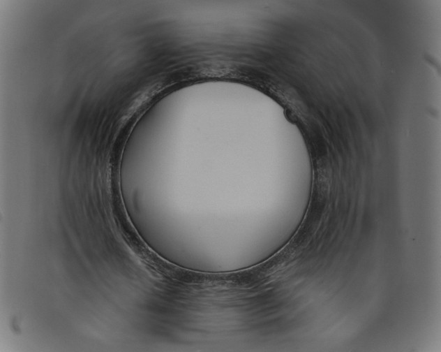 X0000098100626200804251405