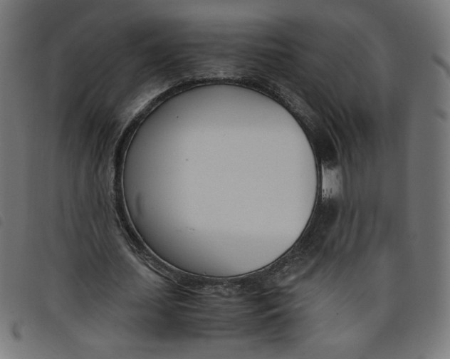 X0000098100627200804251405