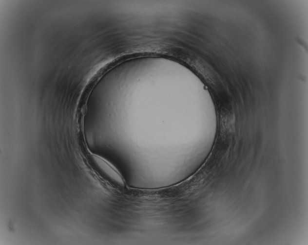X0000098100628200804251405