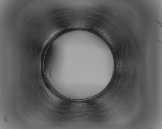 X0000098100629200804251405