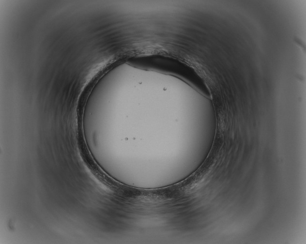 X0000098100630200804251405