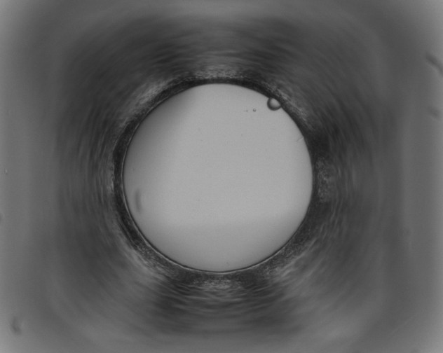 X0000098100631200804251405