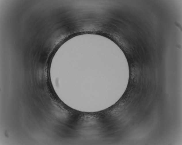 X0000098100632200804251405
