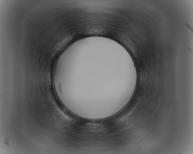 X0000098100633200804251405