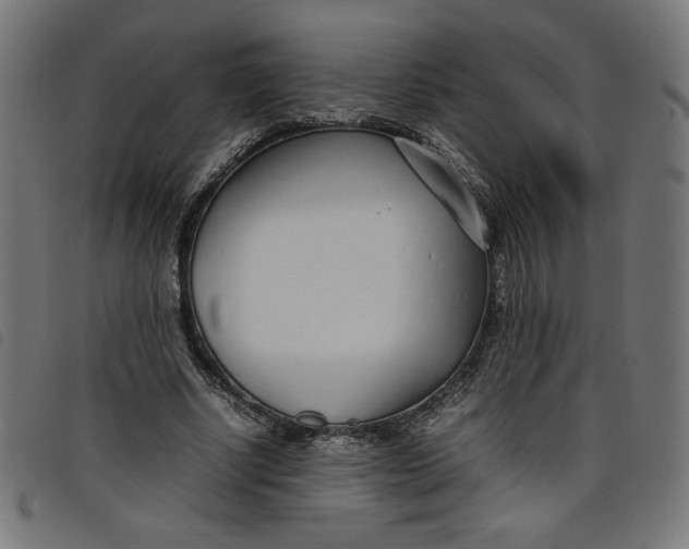 X0000098100634200804251405