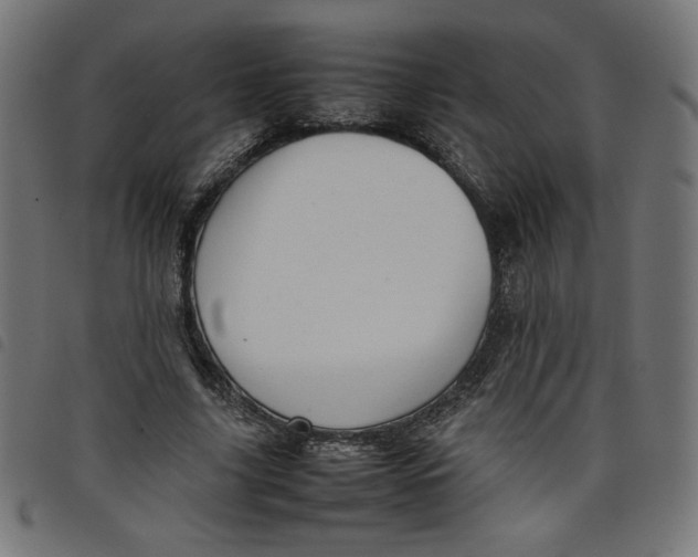 X0000098100635200804251405