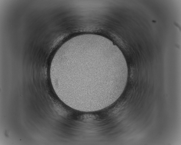 X0000098100636200804251405