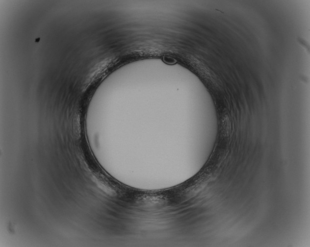 X0000098100638200804251405