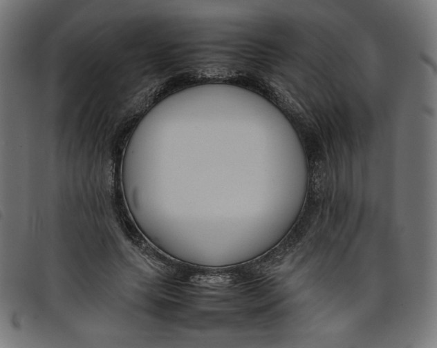 X0000098100639200804251405