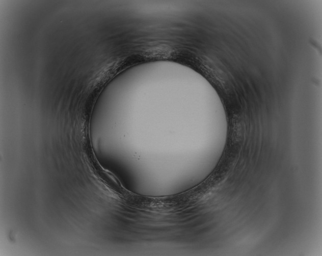 X0000098100641200804251405