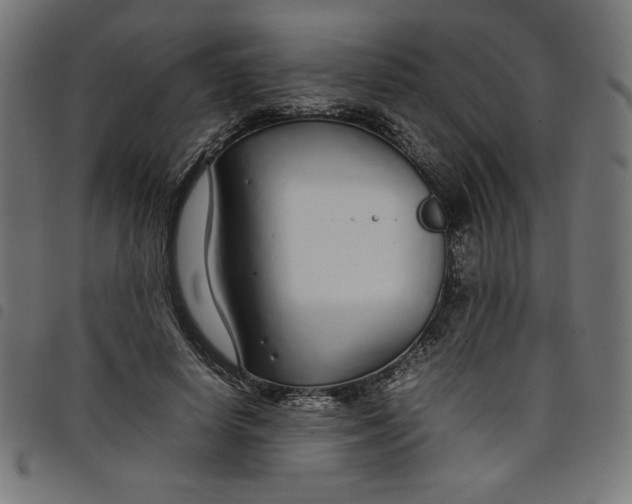 X0000098100642200804251405