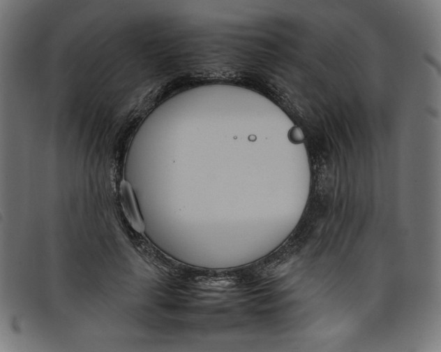 X0000098100643200804251405
