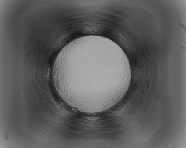 X0000098100645200804251405
