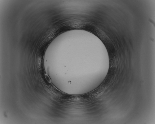 X0000098100646200804251405
