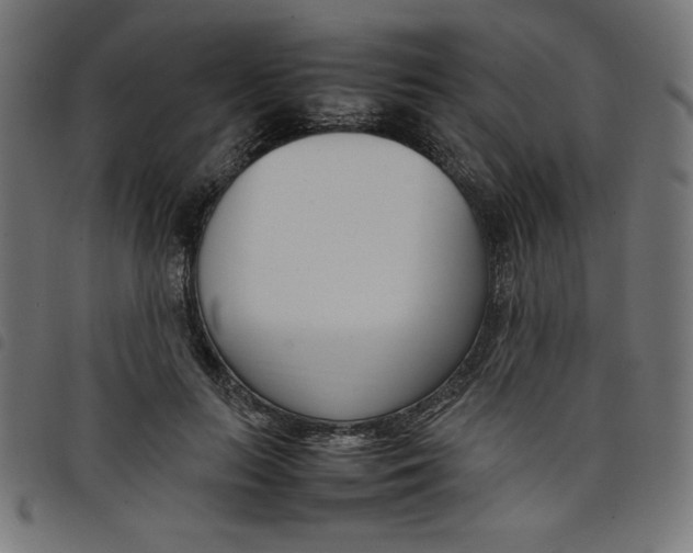 X0000098100647200804251405
