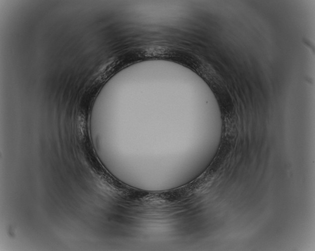 X0000098100648200804251405