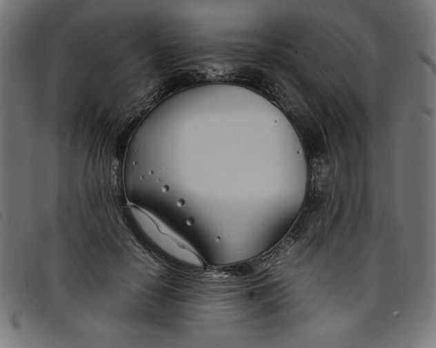 X0000098100650200804251405