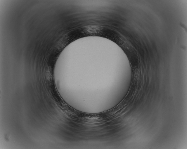 X0000098100651200804251405