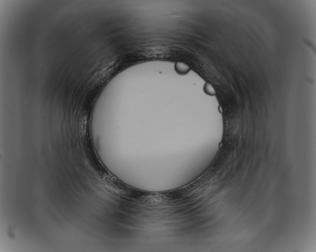 X0000098100652200804251405