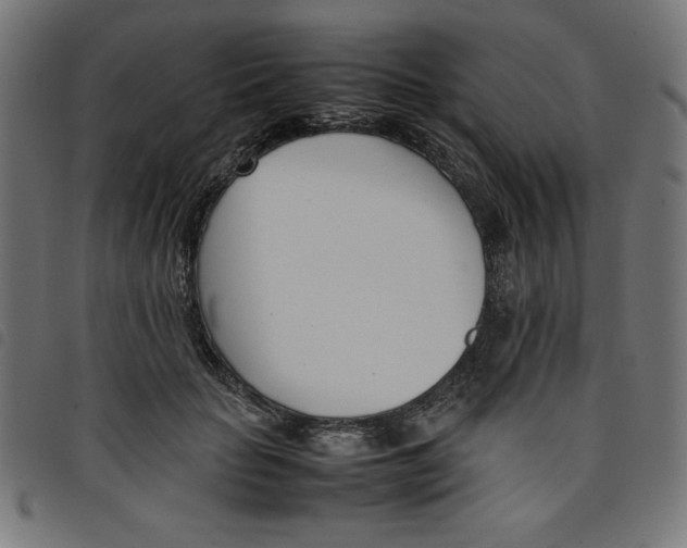 X0000098100653200804251405