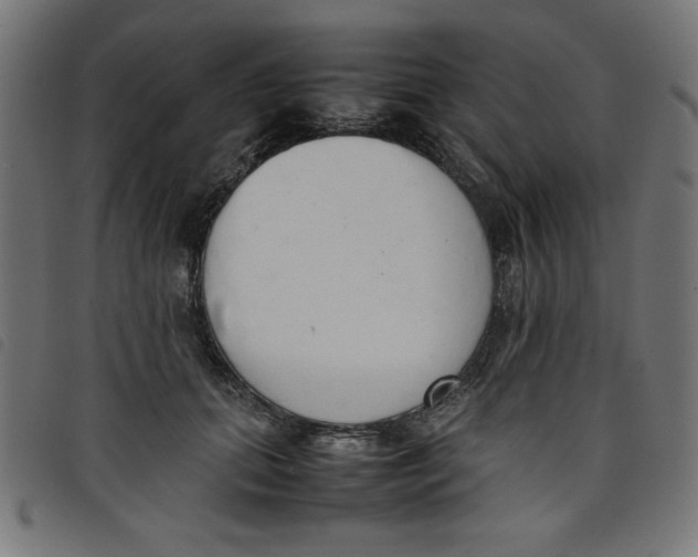 X0000098100655200804251405