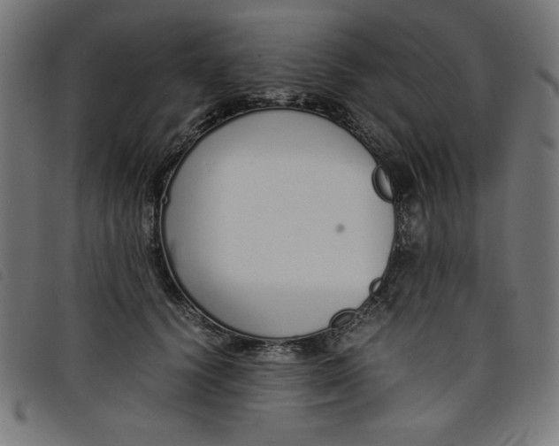 X0000098100656200804251406