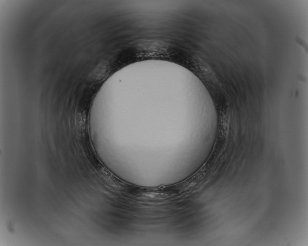 X0000098100657200804251406